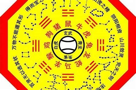 八字主星介紹